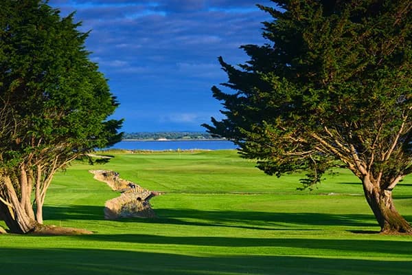 Shannon Golf Club fairway looking toward the Shannon Estuary